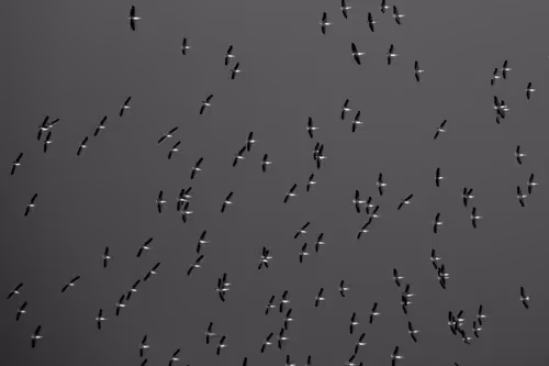 Item #96722404509651341404320943971918278257484839250108932769859130402848135708673 Media