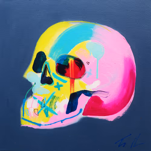 Memento Mori 100 Skulls By Tim Fowler