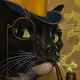 ArtCatz Collection