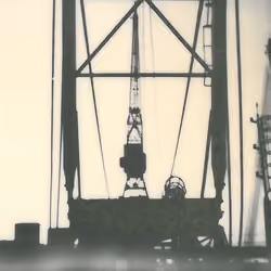 Cranes