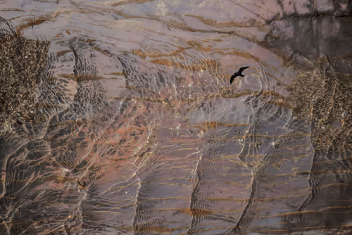 Item #94302163411569095589289123968041002973019814470584416299482263088940869222401 Media