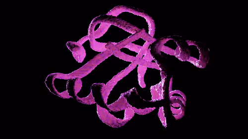 Item #49094267518849766728459320439263364163524723488724265765002212417995607638017 Media