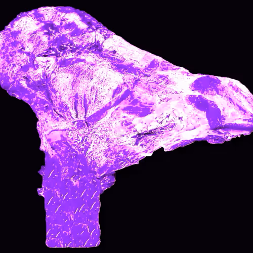 18063966590187803564983313972252836895288362682890717819958697140603278327809