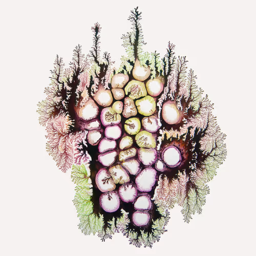 Item #93517858934538610296799104720857224042243540248850289661824237396802469363713 Media