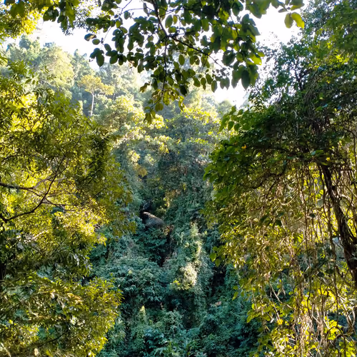 28552648014951841360055804284892198163239318494146207208074392841793929478145