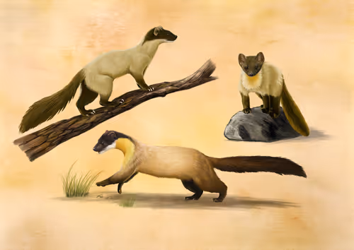 Item #113158669374427839684248314488913715368730880920869844839548125314555999944705 Media