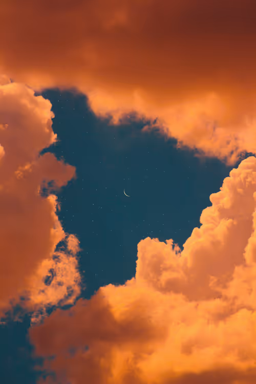 Item #9516099056367242152996622501750151802451978225621664057436231512729050939393 Media