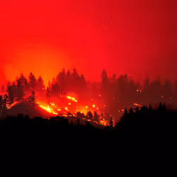 55396979496544417469792883121952566872796951856674190010796140002759118159873