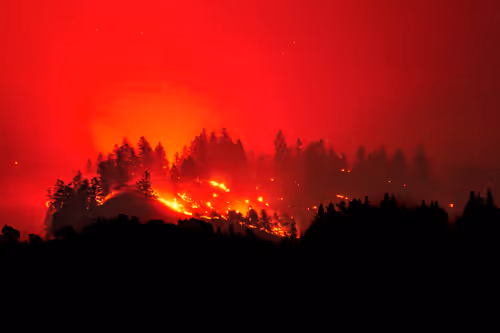 Item #55396979496544417469792883121952566872796951856674190010796140002759118159873 Media