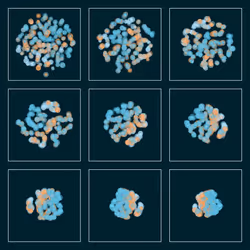 t-SNE #77