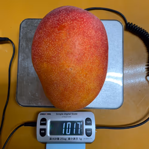 MetagriLabo Collection