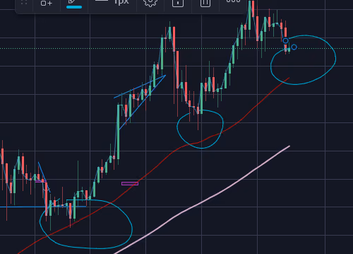 corn bounce