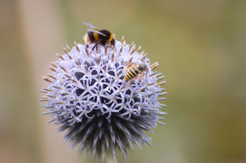 Item #7359122989466904503337190094345269304365535108447760415338711412271315156993 Media