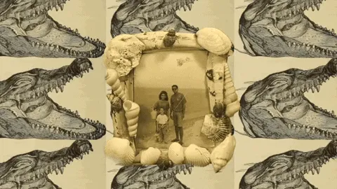 Item #21323097344883849654448628108505436225969268415163286467459733222963017678849 Media