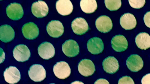 Item #7492014197175371295993437747185923975564654594515035294338329514525608378369 Media