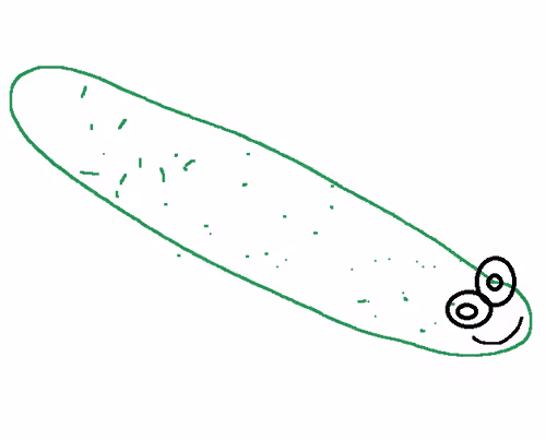 Sumyungguy Collection