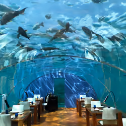 Maldives Underwater Restaurant