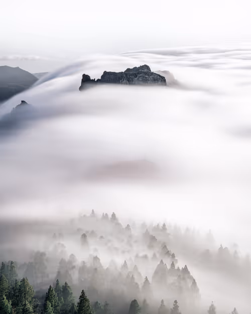 Item #13530196008563854885734701645489239893445931623828964503452581749899889999873 Media