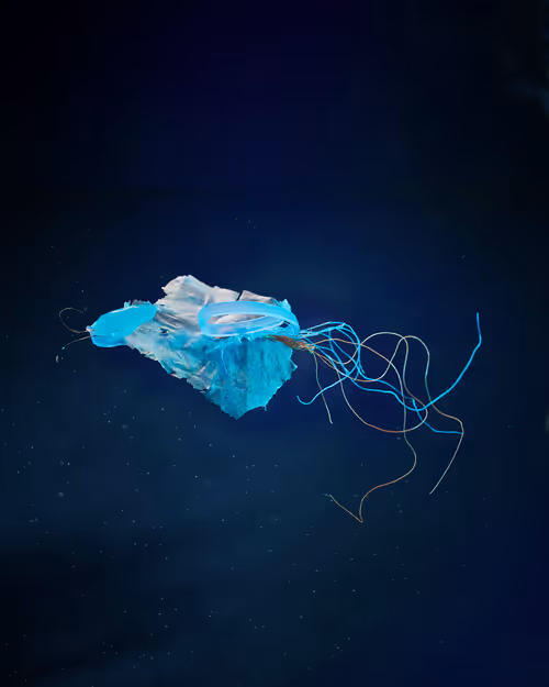 Item #109516060790128716410476023957010007194992899360469946350860993267714662334465 Media