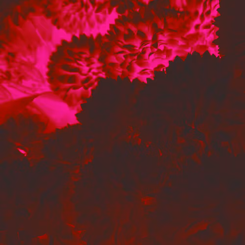 10162537437224382031479019658551907585229278444242708151782220096701953212417