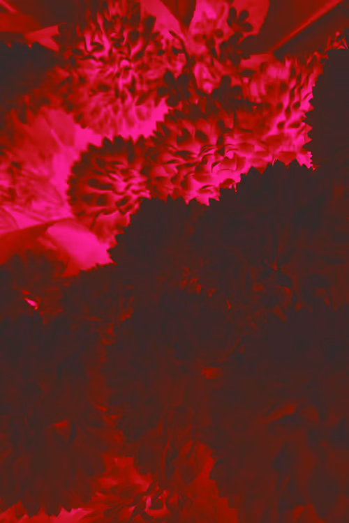 Item #10162537437224382031479019658551907585229278444242708151782220096701953212417 Media