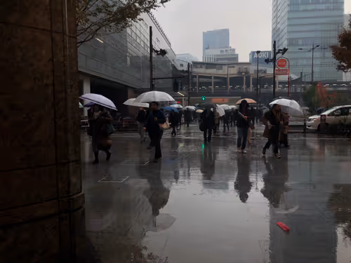 Item #89177272350897893982546480104876371934235581992979395065376005319677697851393 Media