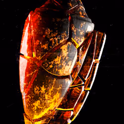 MY SHELL #51