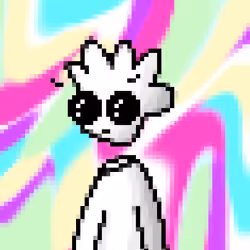 • Yoki •
