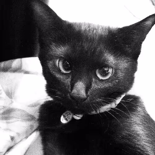 Gigi is an important family treasure