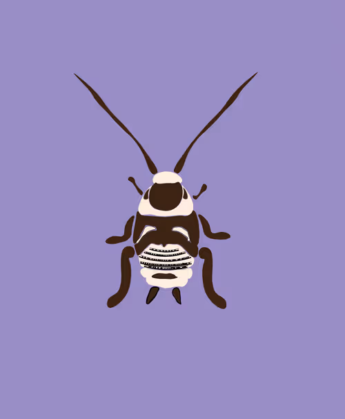 Item #104727181493744728705518732220435798389342412389779686618231511363281089462273 Media