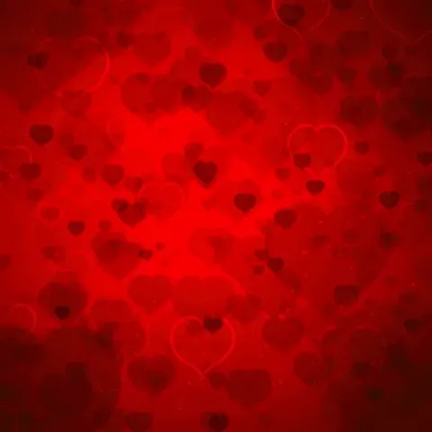 Item #17111238621798375226615357822271893110679145494349111002154817906010937622529 Media