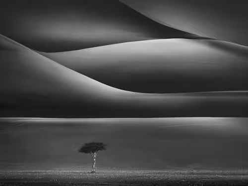 Item #108814857691029429230781820568210235490063919231059486623727012644280600625153 Media