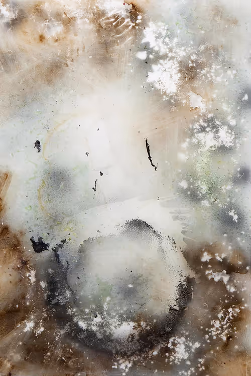 Item #111264774895172989553606282022194155892745764425417346937131400123447158767617 Media