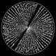 72407656650037389328967993611047014223280056725029532514132816436606485397505