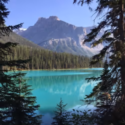 #29490939119350510402131525596228115663099045624959955967289050999426943811585