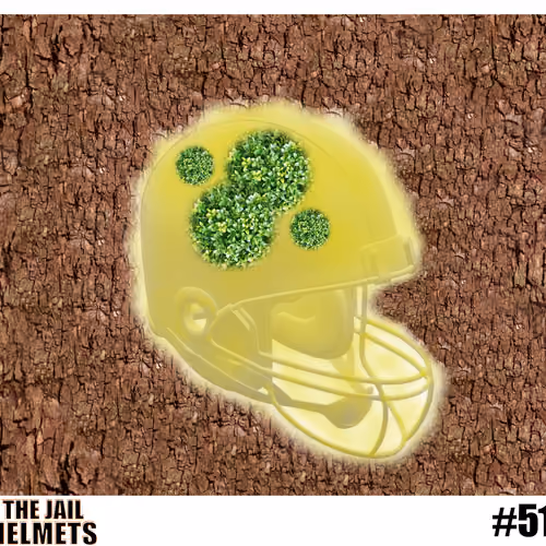 Helmet #51
