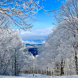 Gap between snowy montains_#1