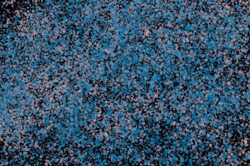 Item #944858660688572096584618472555991747686703840338442188877309684123384676353 Media