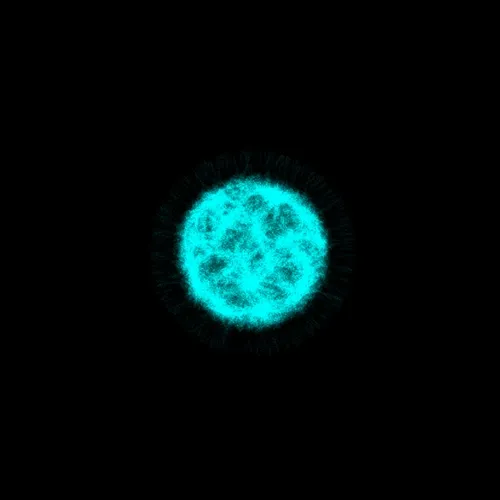 Physarum #239