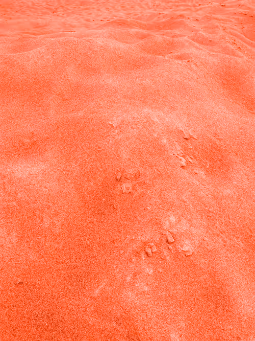 Item #98843954857266856101330559780238873570552098425130206222908041869220728799233 Media