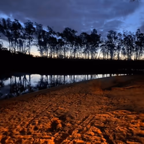 Crypto_Niko Collection