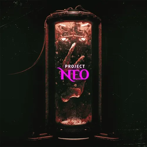 Neo #8 - Ammo