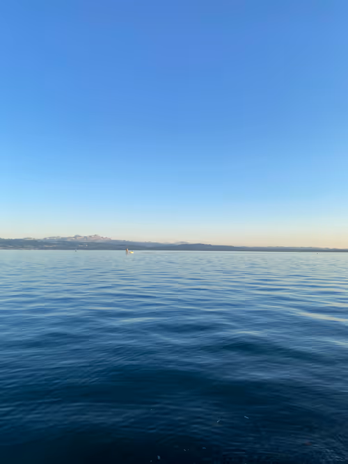 Item #82230664742410380029985225980173930657967222825059187272411913087453008756737 Media