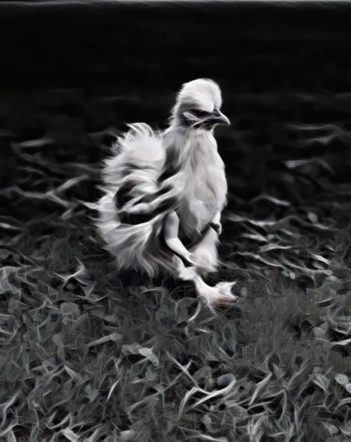 Item #12986001583624842443475589555777676835882886084855718816066093847697562796033 Media