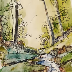 Sheila Romard original ink and watercolor