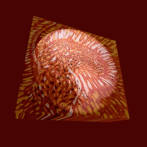 Item #56485572865643406190523004317693602155169995562420708378703551231565592788993 Media