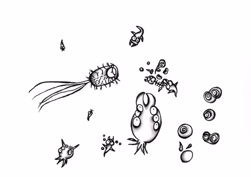 Item #77726416006250011613255342518190216598991548563486375598978460661538218835969 Media