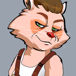 Raccoon-353