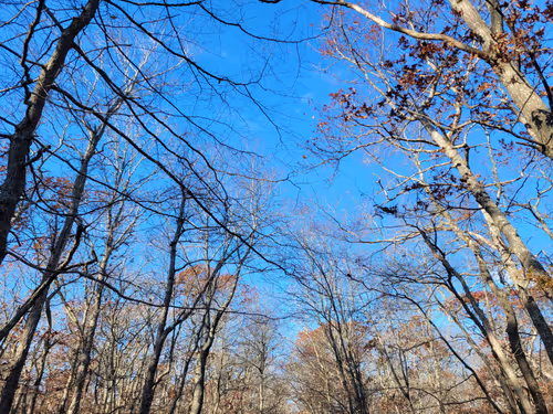 Item #34085441569699423005310991372941828806155687762378495952169943207671429595137 Media