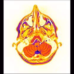 64162533542198579898252916190583583845604629893829087458582975719404227002369